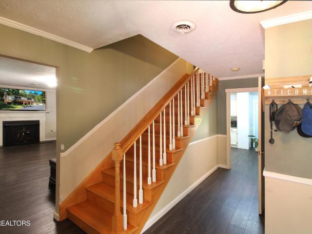 117 McNew Drive