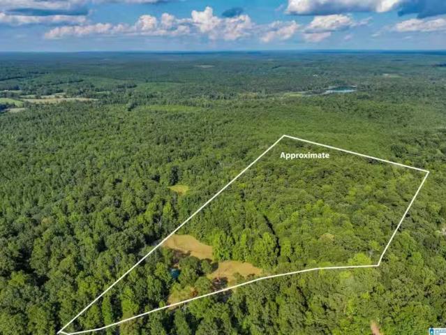 11840 N SCOTTSVILLE RD # 11840