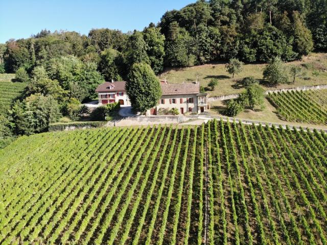 1184 Luins Domaine viticole avec forêt, vue imprenable lac