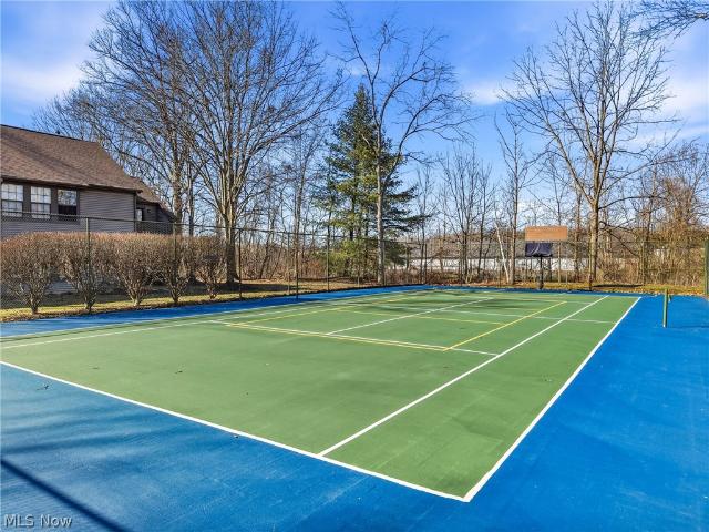 1183 Red Tail Hawk Drive 5