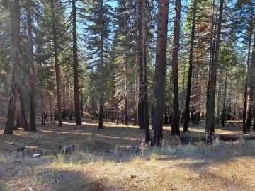 118 GOOSE BAY VIEW TRL, CHESTER, CA 96020