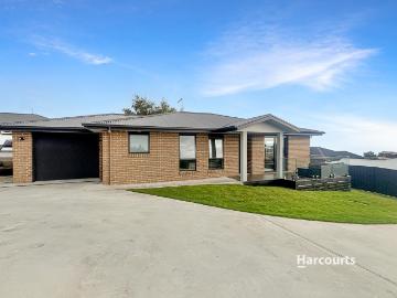Penguin, Central Coast, Tasmania, Walker Island, Cloudy Bay, Kingborough, Tasmania Island
