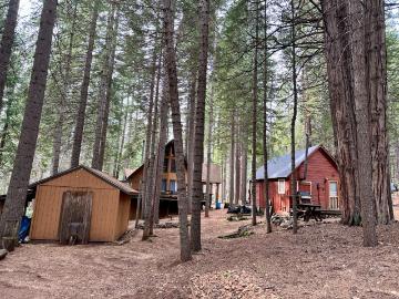 1197 McKay's Point Rd, Arnold, CA 95223 | MLS #226037