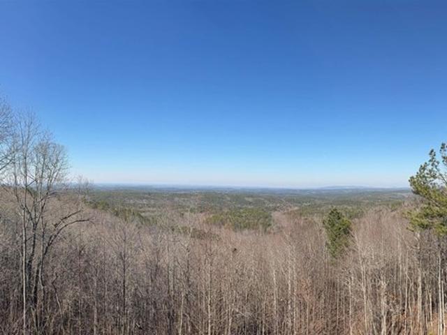 1190 Skyway Dr, Lineville, AL 36266