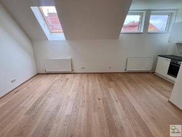 1190 Wien DG. WOHNUNG IN RUHELAGE
