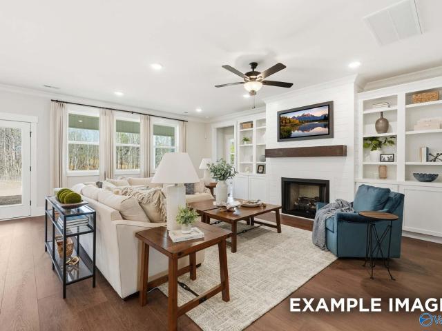 119 Discovery Loop