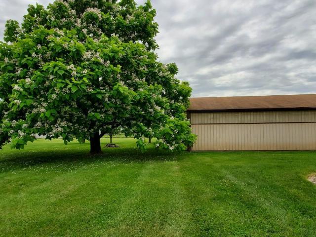 119 Tallahatchie Drive
