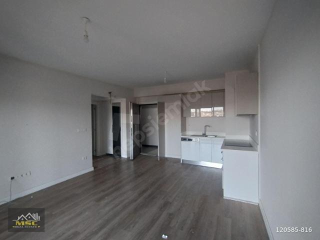 1+1 72 M2 MSC' DEN