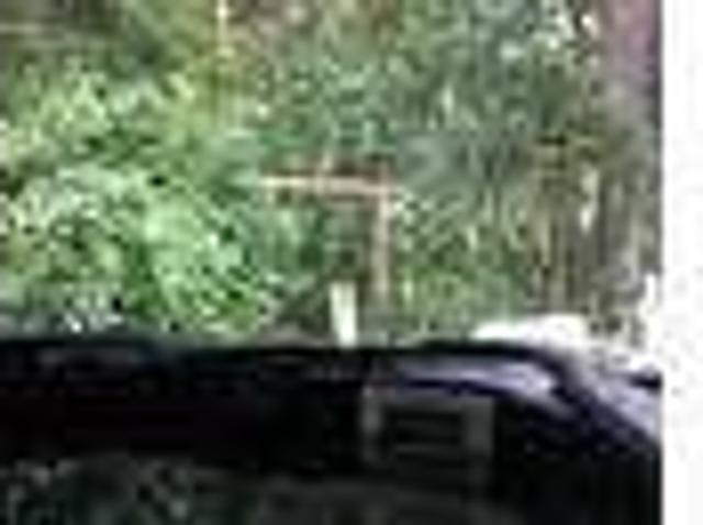 $11 / 2br 1400ftÂ² House in Lake Panasoffkee Florida