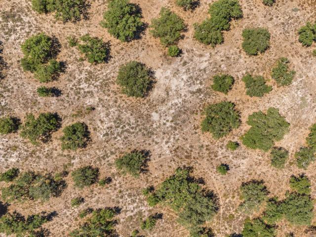 11,3 hectares de floresta de sobreiro | Enviado PIP | Residência de 455 m² | Arrábida