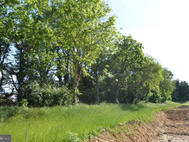 11 Tullow Hill Drive