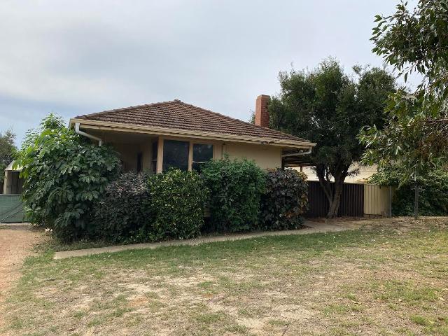 11 Zamia Street, Rangeway, WA 6530 House for Rent Geraldton | Dongara