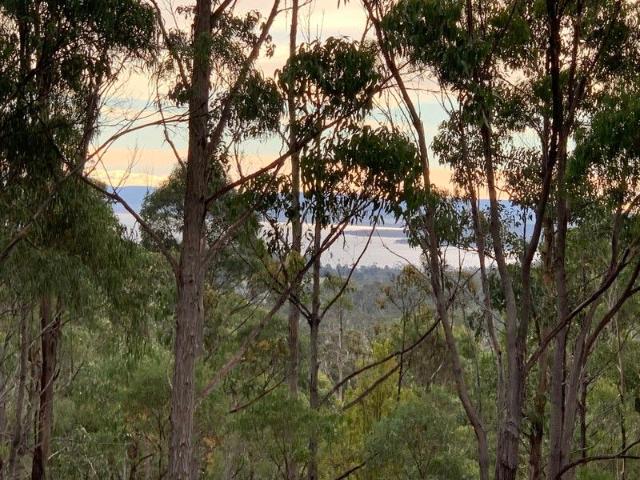 11 Acre Lifestyle Lot with Water Views