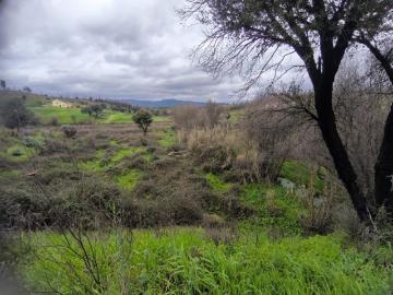 Portfolio de Terrenos em Vale de Água, Alvito da Beira, Proença a Nova Castelo Branco