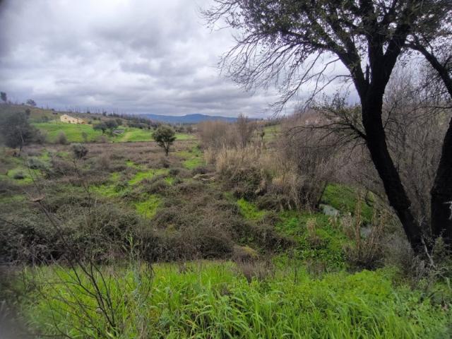 Portfolio de Terrenos em Vale de Água, Alvito da Beira, Proença a Nova Castelo Branco