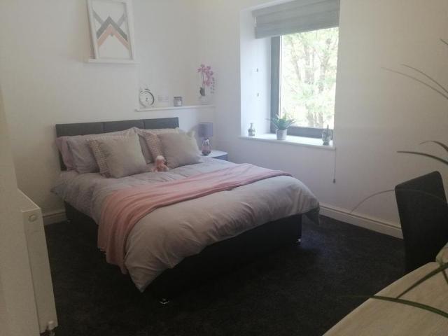 11 bedroom end of terrace house to rent