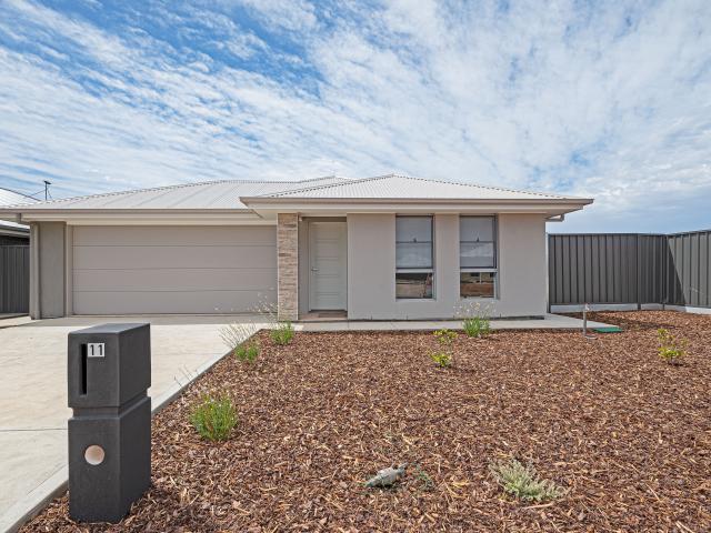 11 Bejo Avenue, Murray Bridge SA 5253 House For Rent | Domain