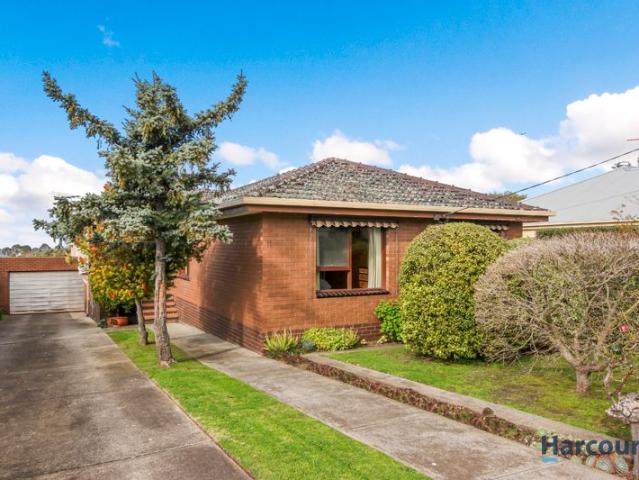 11 Belcher Street, Hamlyn Heights, VIC 3215