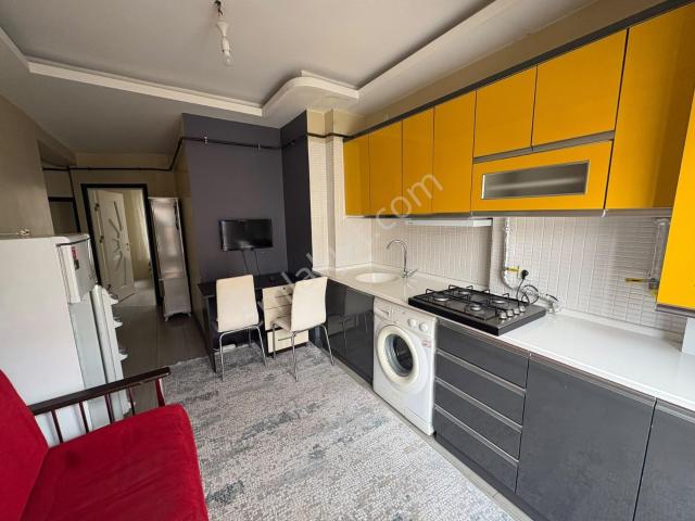 1+1 Belediye Binası Karşısında Eşyalı Mobilyalı Kiralık Daire