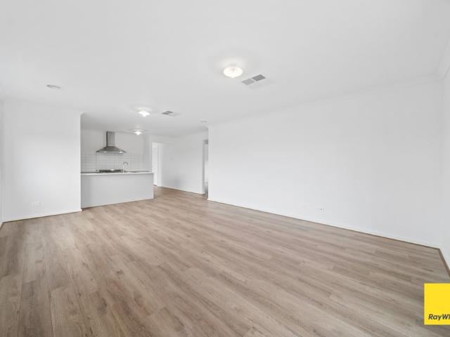 11 Betoota Avenue