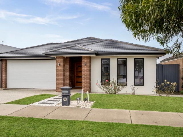 11 Chamberlain Drive