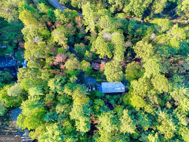 11 Copperhead Ln, Clayton, GA 30525 | MLS #10623