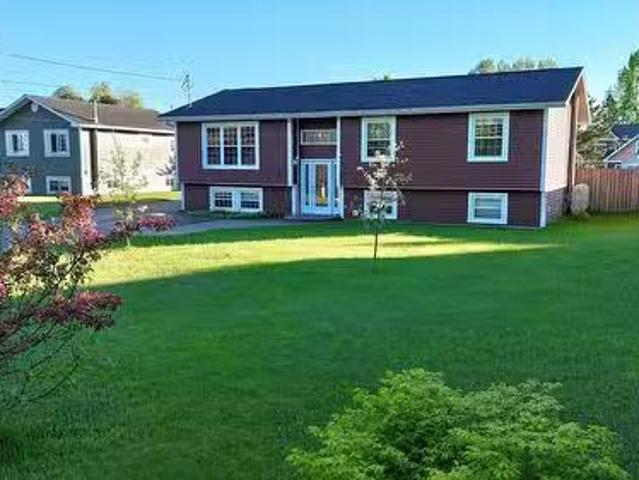 11 George Aaron Drive, Deer Lake, NL, A8A 3N1 house for sale.
