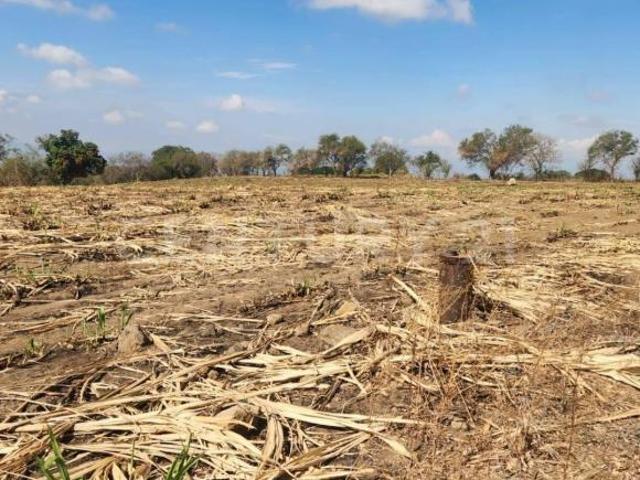 11 HECTAREAS EN VENTA EN CUAUHTEMOC