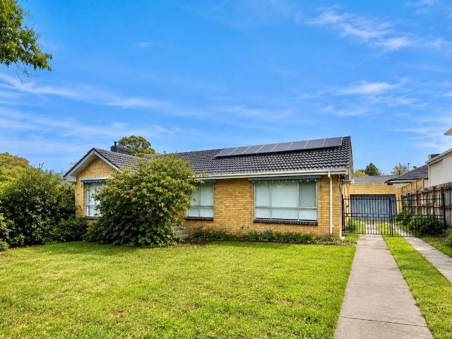 11 Jessie Street, Blackburn North