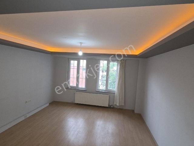 1+1 Kiralık Kocaman Bir Daire