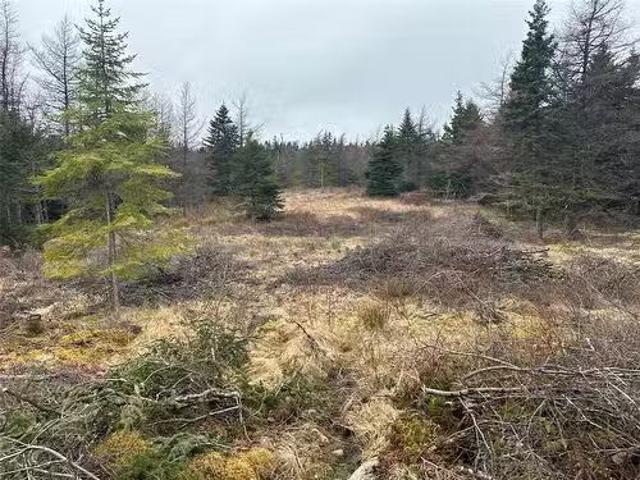 11 North Side Road, Holyrood, NL, A0A 2R0 vacant land for sa.