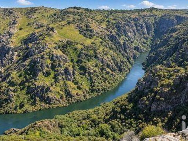 11 quarto, Mogadouro Braganca LS105382245