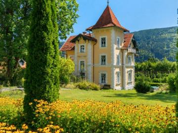 11 Schlafzimmer Haus Kärnten Kärnten 103014393