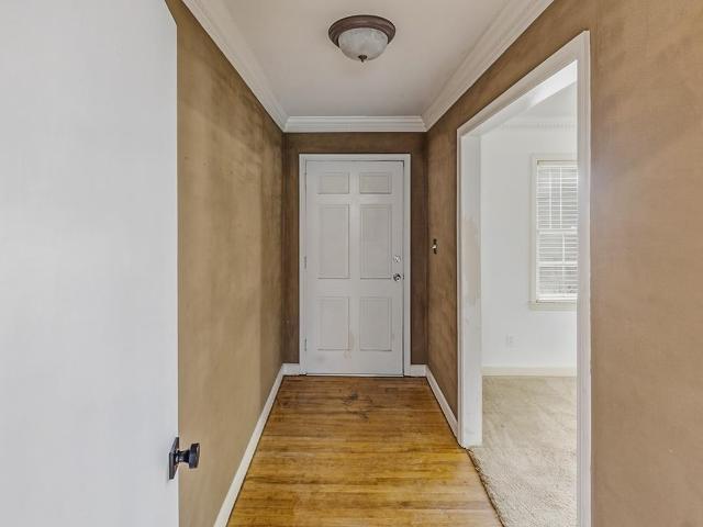 11 Shrevewood Drive