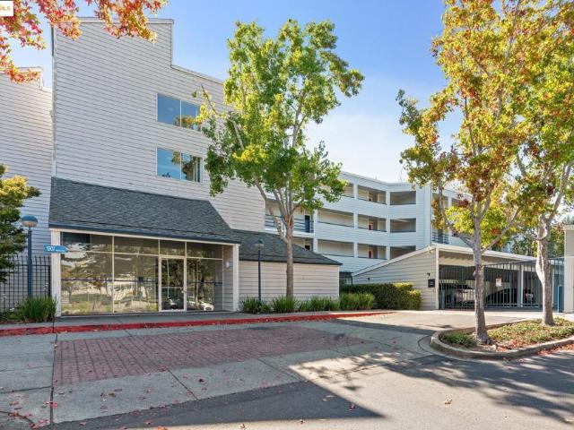 1207 Melville Sq 417
