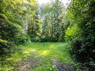 1208 Lynn Rd, Tofino, BC, V0R 2Z0 vacant land for sale List.