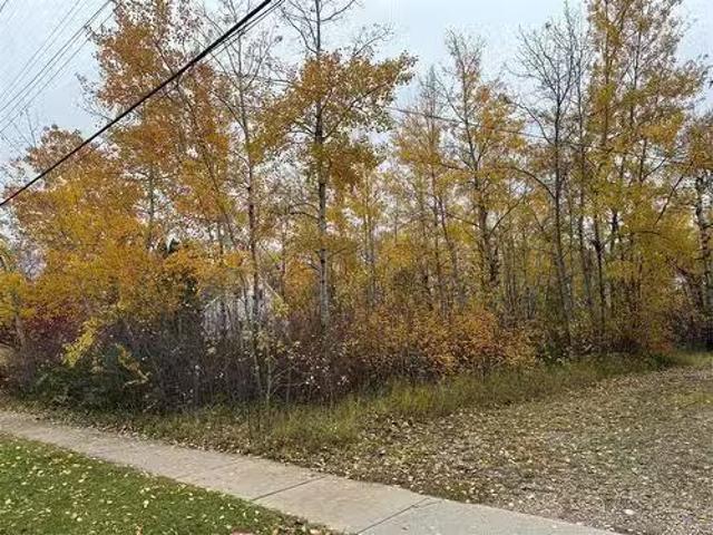 1209 1St Street N, Swan River, MB, R0L 1Z0 vacant land for s.