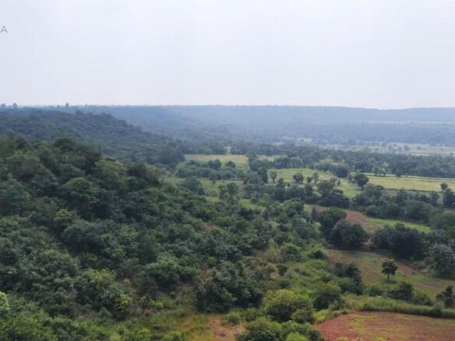 12000 Sq.Ft. Plot in Shankarpalli Hyderabad Listing ID: #10349