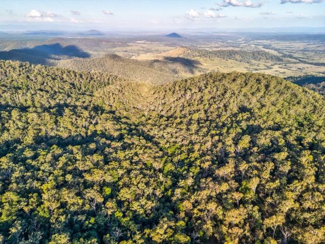 1200 Acres of Exceptional Cattle Grazing Potential!