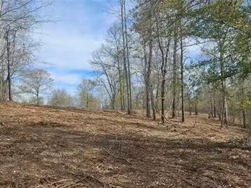 1200 COUNTY ROAD 375, BILLINGSLEY, AL 36006