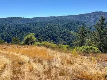 1200 ROBERTS RD, BEN LOMOND, CA 95005