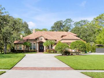 12012 rambling oak boulevard, orlando, us, fl