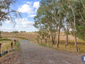Regenerative Farming Home in the Making