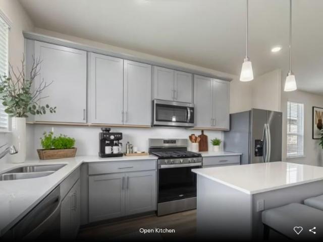 120 Blackfoot Daisy Path