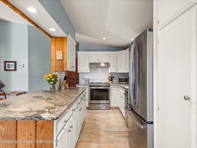 120 Tucker Lane, Basalt, CO