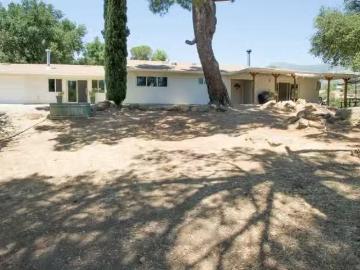 San Diego County, California, USA - Garden