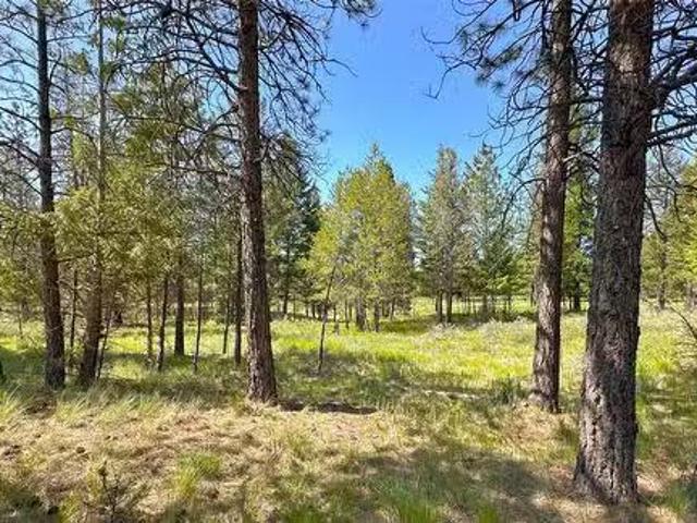 121 Corral Boulevard, Cranbrook, BC, V1C 0C2 vacant land for.