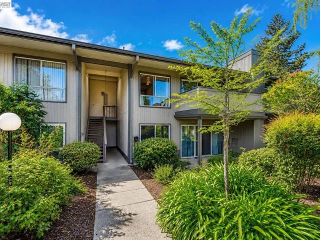 121 Buckingham Dr 25