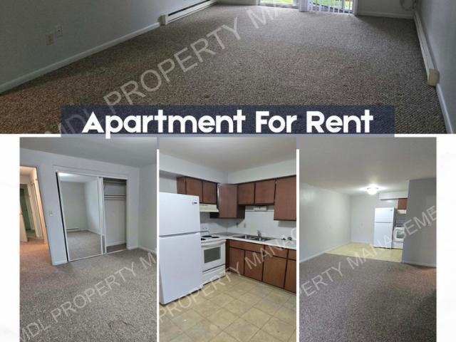 121 N Woodbridge 2 Bedroom Apartment for Rent at 121 N Woodbridge St, Saginaw, MI 48602