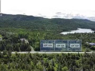 121 Salmonier Line, Holyrood, NL, A0A 2K0 vacant land for sa.